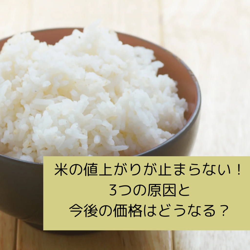 米の値上がりが止まらない！3つの原因と今後の価格はどうなる？